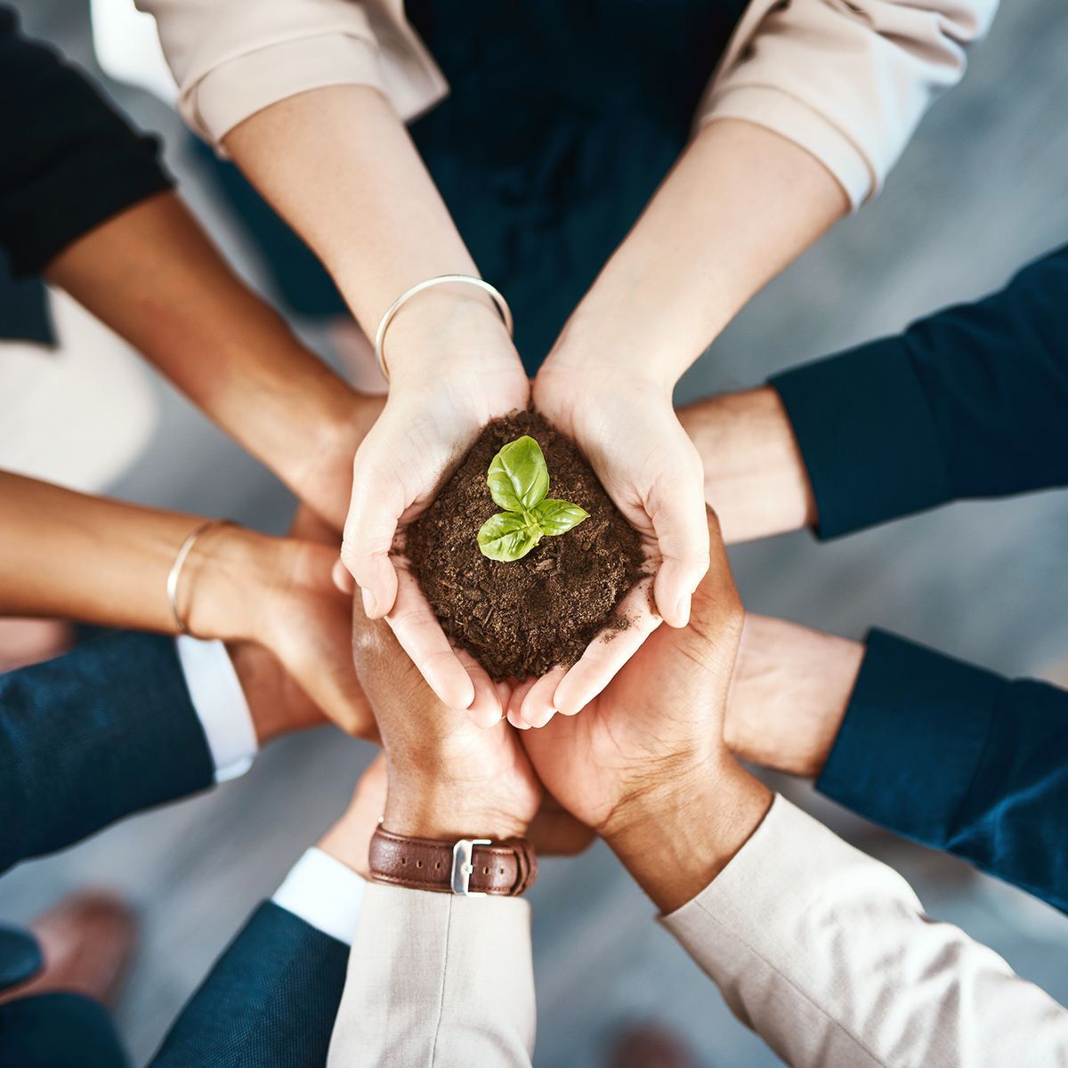 Corporate Wellness Consultants In Bangalore